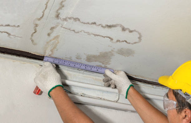 Reliable Burst Pipe Cleanup contractor in Garden City, MN by Water Damage Irwin